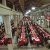CGIL Incontri - 9° edizione 2005